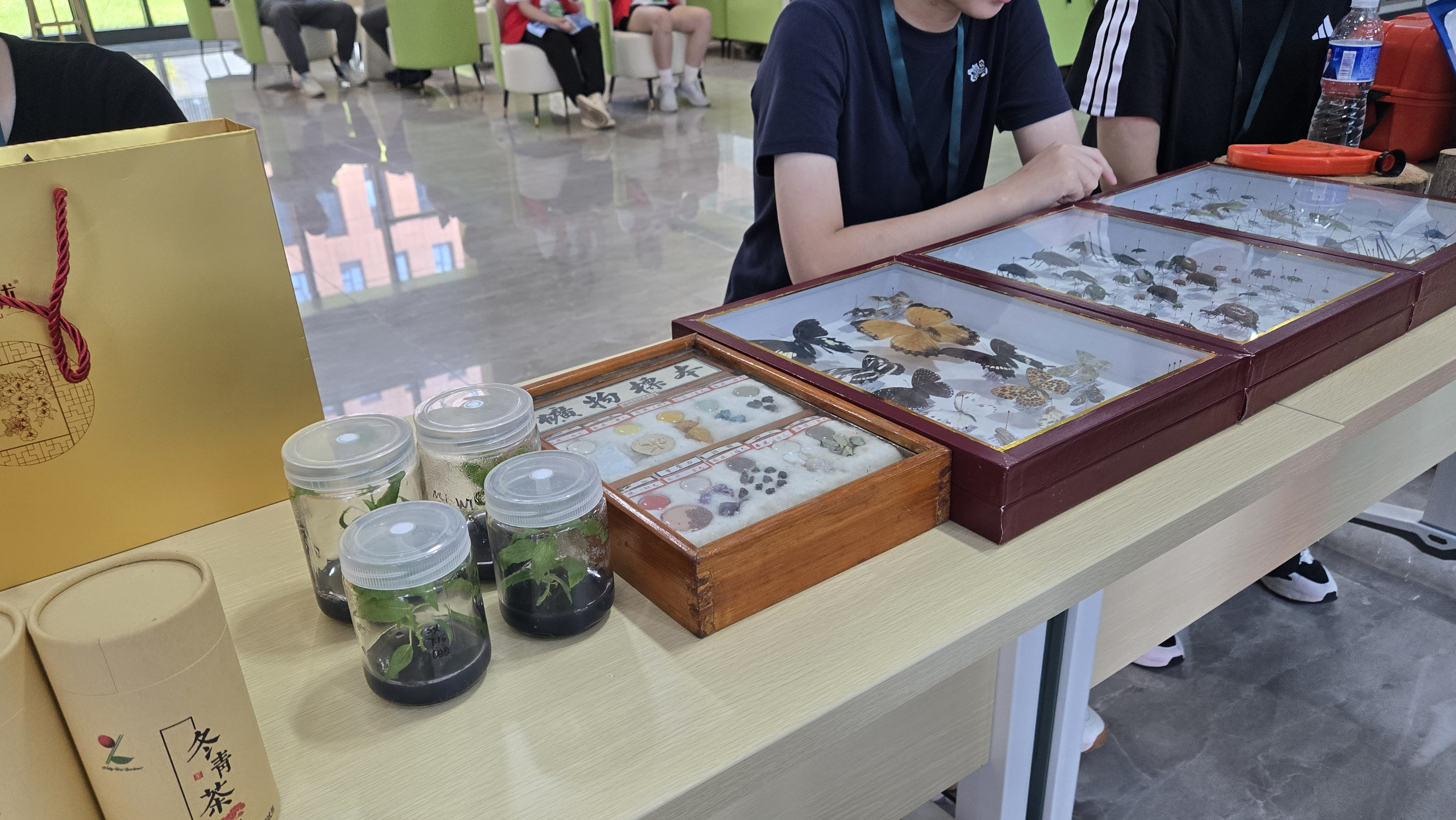 图片13